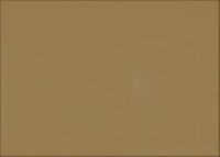 Ткань Dewspo Milky 240T, №16-1334 т.бежевый