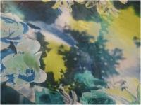 Ткань Шифон ПРИНТ ш.150см.,2010 цвет №100