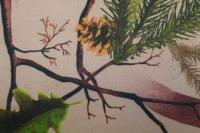 Оксфорд 240Д PU1000, RF 57-1