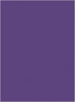 Ткань 3002 Бархат стрейч крэш , ш.150см., №303 фиолетовый