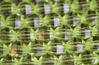 Бусины пластик прозрачные на нитях 11x11мм (упаковка =12 нитей = 420 бусин)661