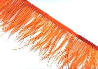 WhatsApp Image 2022-09-08 at 16.29.57