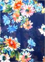 Ткань Шифон ПРИНТ ш.150см.,2010 цвет №52