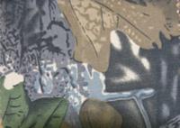 Ткань Dewspo Bonding 240T PU, КМФ C-29