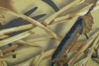 Оксфорд 240Д PU1000, RF 35