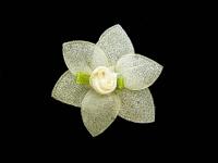 011 F пришивной элемент (упаковка 100 штук) молочный