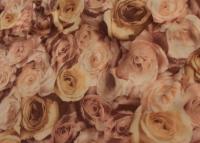 Ткань 4003 Масло принт, №142