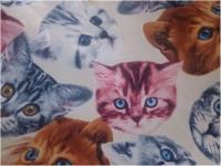 Ткань Шифон ПРИНТ ш.150см.,2010 цвет №111