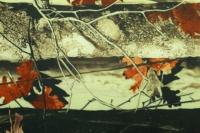 Оксфорд 240Д PU1000, RF 51