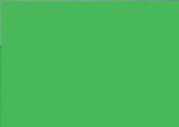 Ткань Taffeta 190T PU1000 мм , №16-6340 ярко-зеленый