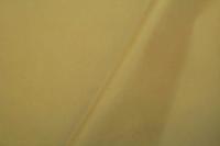 Dewspo 240T milky (100% ПЭ), 90 г/м2, XS 171118 кориандр