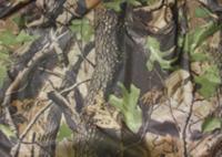 Ткань Oxford 240D PU1000, КМФ С11, цв.клен