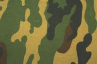 Оксфорд 200Д PU 1000, print XS 6029