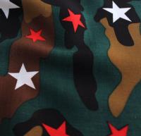 Ткань Вискоза принт  арт.2019 цв.172