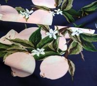 Поплин  набивной 2039 цв.№251