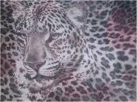 Ткань Шифон ПРИНТ ш.150см.,2010 цвет №82