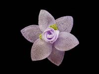 011 F пришивной элемент (упаковка 100 штук) сирень