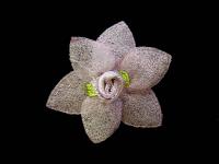 011 F пришивной элемент (упаковка 100 штук) грязно-розовый