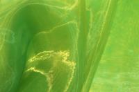 Органза FANHANG (280 см) 21 г/м2, цв. 23-зеленый