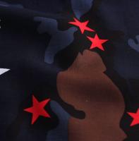 Ткань Вискоза принт  арт.2019 цв.173