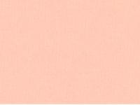 Мех BRUSHED TRICOT ворсовая ткань pink beige