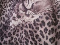 Ткань 4003 Масло принт, №82