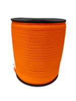 photo_2026-02-09_18-43-39-no-bg-preview (carve.photos)