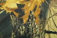 Оксфорд 240Д PU1000, RF 31-8