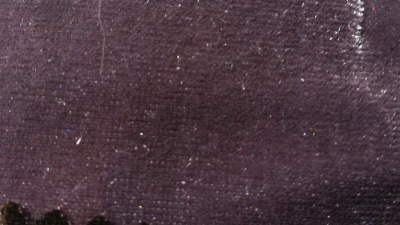 Ткань 3005 Бархат стрейч, ш.150см., №805