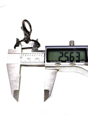 photo_1031@11-12-2025_14-08-50