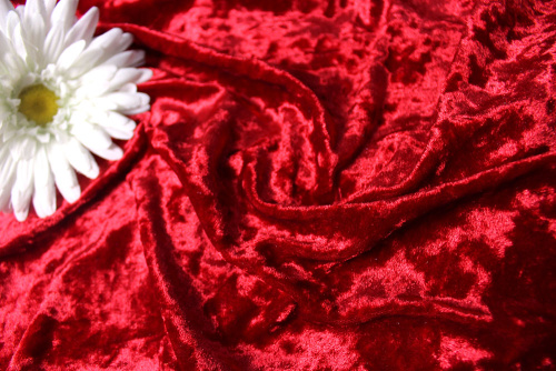  Ткань 3002 Бархат стрейч крэш, ш.160см, цв. 103  ТриКатушки