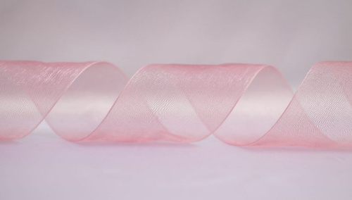  1022 Лента органза 25мм (намотка 50 ярдов = 45 метров)  ТриКатушки