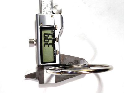 photo_850@10-12-2025_12-11-45