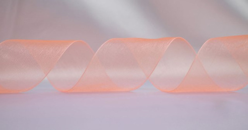  1010 Лента органза 25мм (намотка 50 ярдов = 45 метров)  ТриКатушки