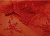 Ткань 5039 Тюль вышивка №101 красный