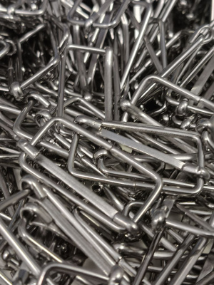 photo_827@10-12-2025_12-11-35