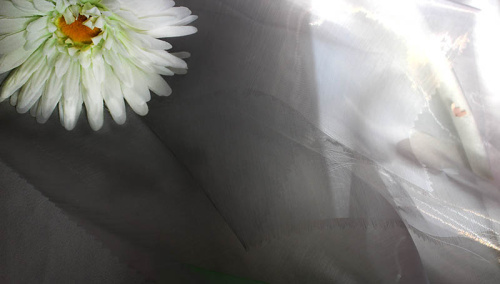  Ткань 5005 Органза цв. 999 черный  ТриКатушки