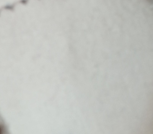  Ткань Футер 3-ех ниточный с начесом  пл.350 гр/м2,цв.белый  ТриКатушки