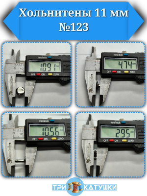 Хольнитены 123