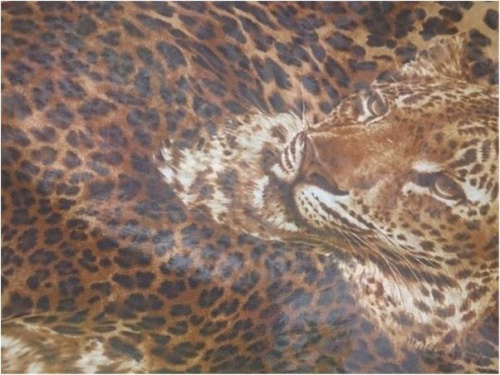  Ткань Шифон ПРИНТ ш.150см.,2010 цвет №81  ТриКатушки