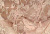 Гипюр стрейч 5008 ш.150см.,пл.130г/м., №201 светло-розовый (персик)
