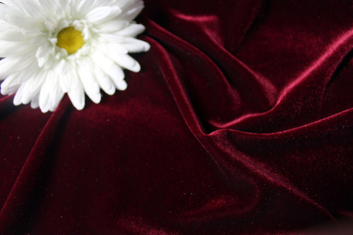  Ткань 3001 Бархат стрейч, ш.150см., №106  ТриКатушки