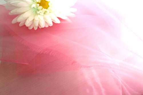  Ткань 5005 Органза цв. 216 розовый  ТриКатушки