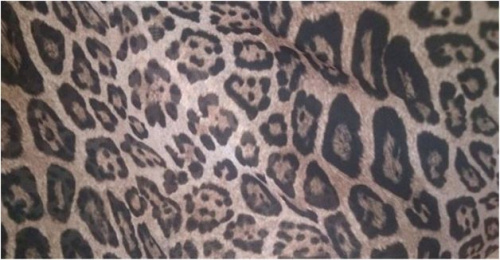  Атлас стрейч принт 2011, цв.115  ТриКатушки