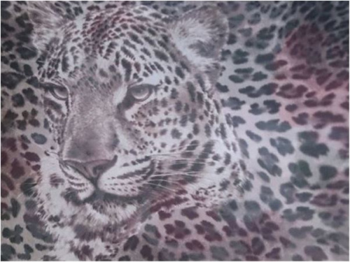  Ткань Шифон ПРИНТ ш.150см.,2010 цвет №82  ТриКатушки