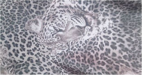  Атлас стрейч принт 2011, цв.82  ТриКатушки