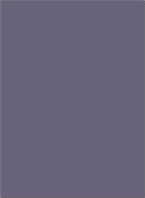 Ткань Шифон сатин арт.2013 ш. 150 см.,цвет №306