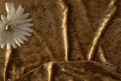  Ткань 3002 Бархат стрейч крэш, ш.160см, цв. 502  ТриКатушки