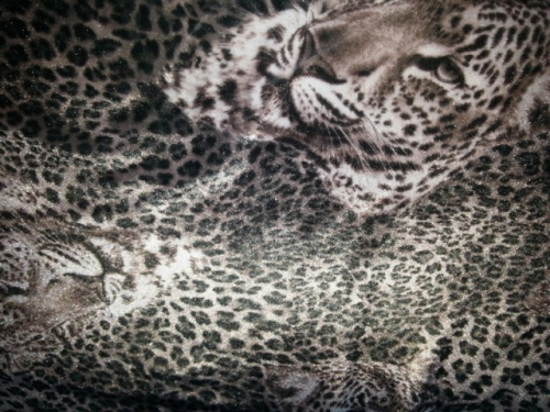  Бархат Стрейч Принт Корея арт.3009 цв.821  ТриКатушки