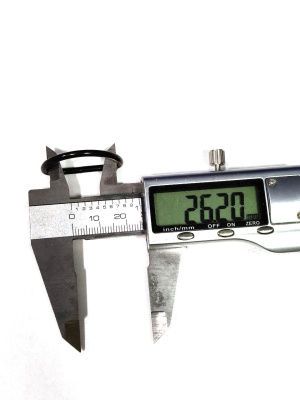 photo_947@10-12-2025_12-13-00